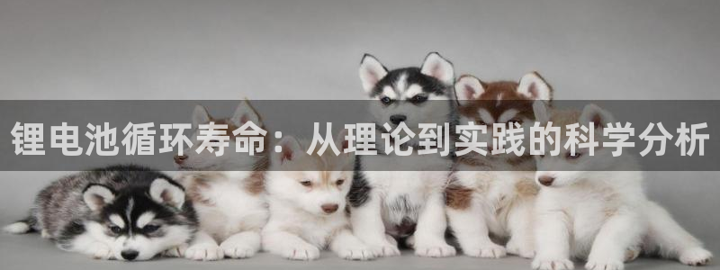 okpay钱包最新版安装方法：锂电池循环寿命：从理论到实践的科学分析