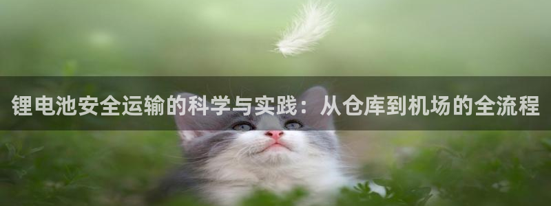 okpay钱包app下载官网2020：锂电池安全运输的科学与实践：从仓库到机场的全流程