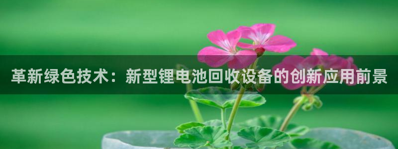 okpay支付钱包官网：革新绿色技术：新型锂电池回收设备的创新应用前景